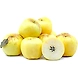 Golden Delicious Apple-YSL225-sm