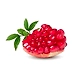 Peeled Pomegranate-YSL230-sm