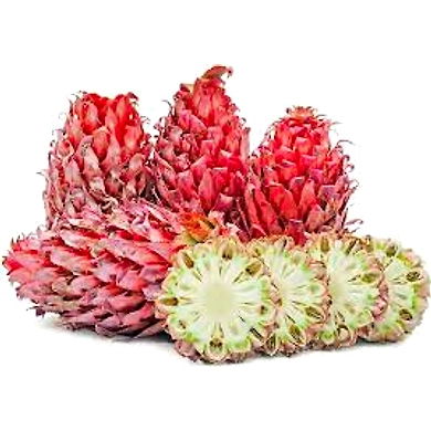 Red Spanish Pineapples-YSL232