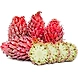 Red Spanish Pineapples-YSL232-sm