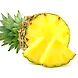 Mordilona Pineapples-YSL234-sm