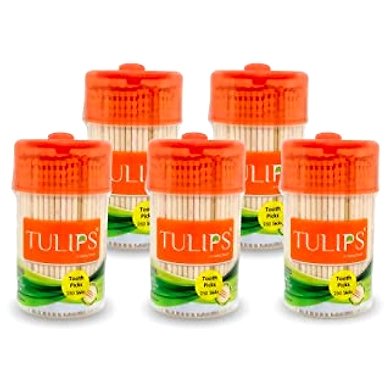 Tulips Wooden Toothpicks 250 Sticks-Attractive Pack 5-YSL418