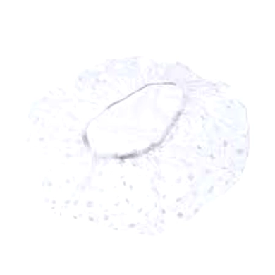 GUBB SHOWER CAPS 4S DISPOSABLE-YSL591