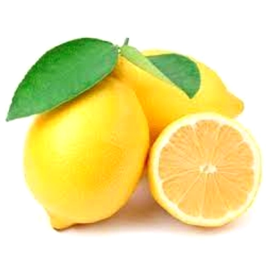 Lemon-Nimbu-YSL1567