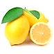 Lemon-Nimbu-YSL1567-sm