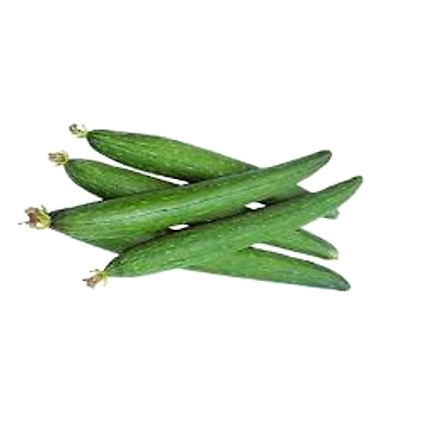 Turai-Ridged Gourd-YSL1568