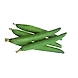 Turai-Ridged Gourd-YSL1568-sm