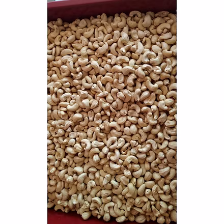 W450 Benin Cashew Nuts-08013229