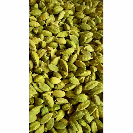 8MM Green Cardamom-09083191