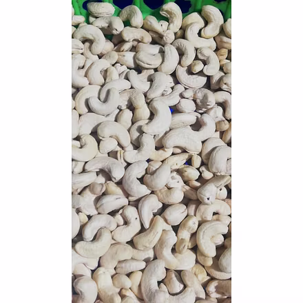 W320 Imported Cashew Nuts-20081910