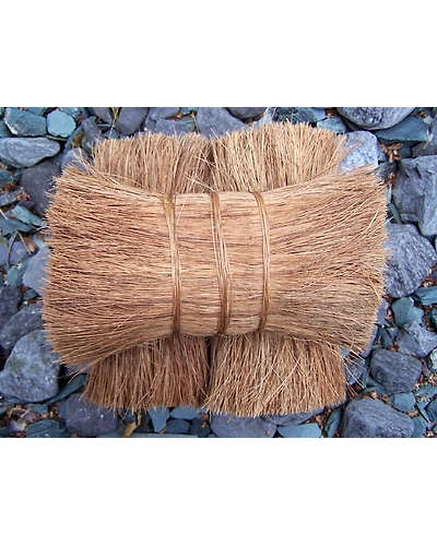 coco Bristel coir fibre-11016984