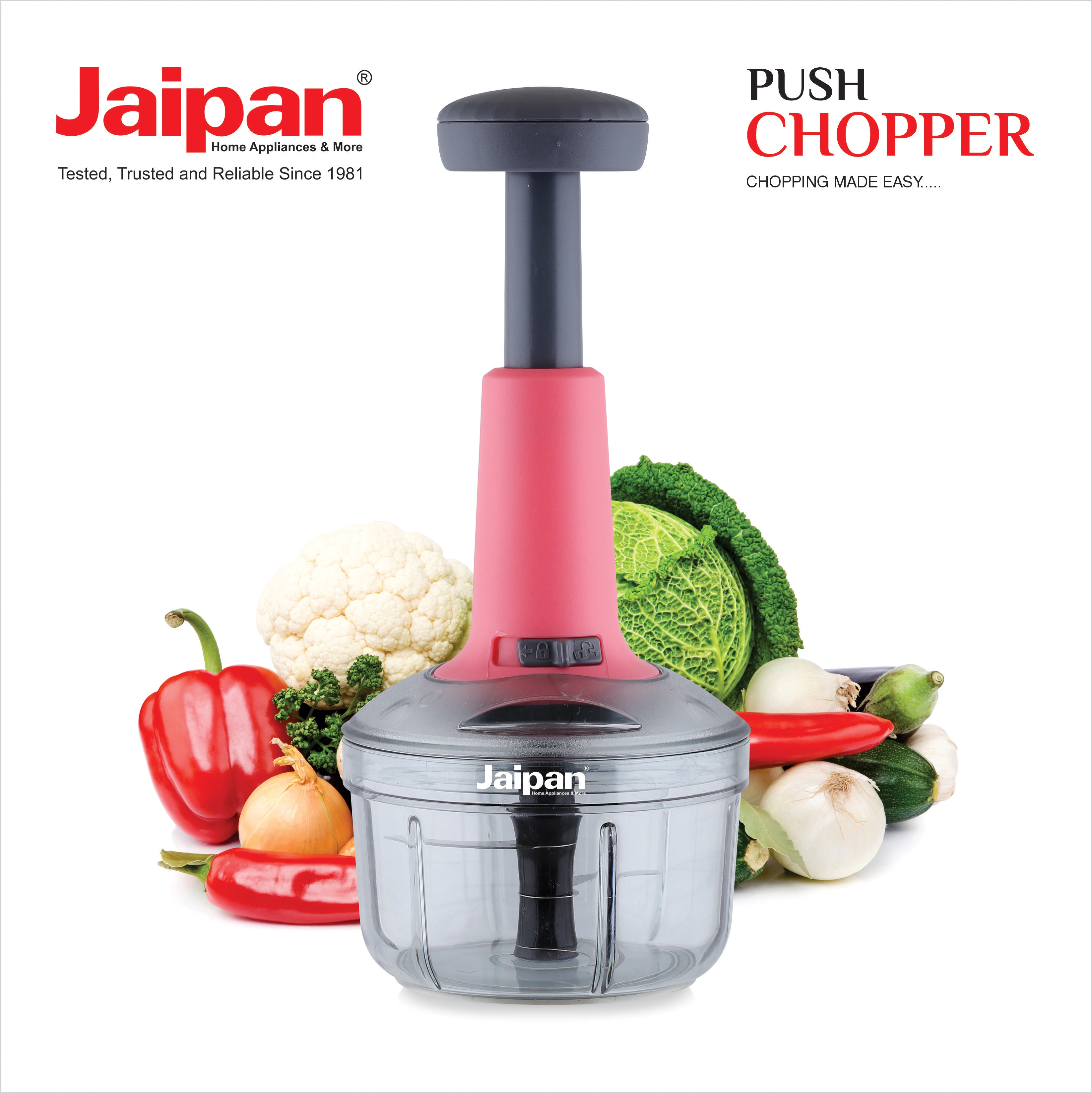 Buy NEWERA 100% vargin pp 2 in 1 Push Chopper Push and Chop Chopper  Vegetable and Fruit Cutter Online at Best Prices in India - JioMart.