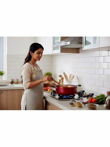 Jaipan Wonder 4.5 ltr Jumbo Biryani Pot