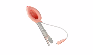 Laryngeal Mask Airway