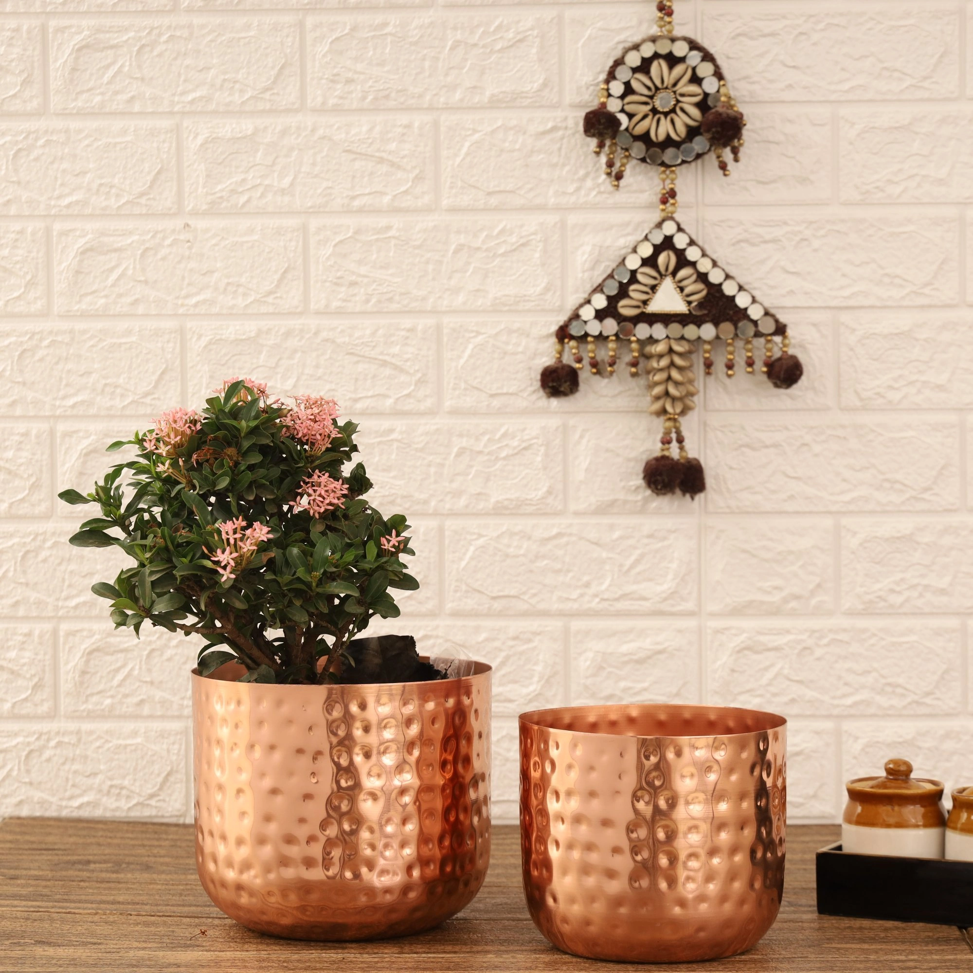 Flower Pot-2