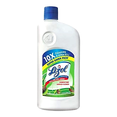 Lizol Pine Cleaner 500 ML-8741733