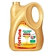 Fortune Refined Oil - Rice Bran-MRB391-sm