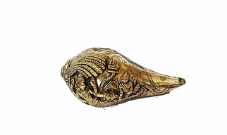 Beautiful Vishnusanya sankhu weight 1.500 kg size 7.5 inch length, height 3 inch finish black