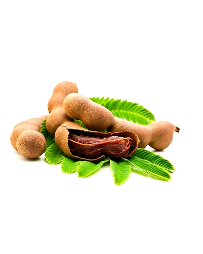 TAMARIND-11131688
