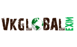 VKGLOBALEXIM-logo