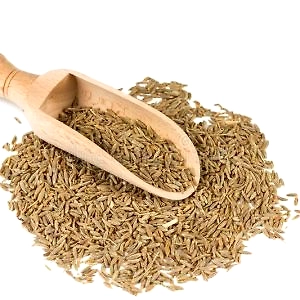 Cumin Seeds
