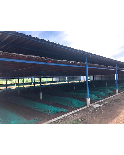 Vermicompost-1