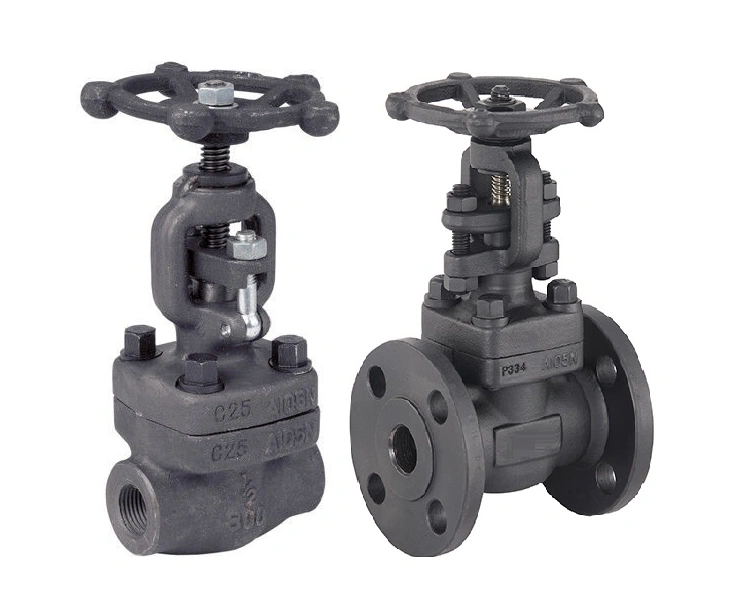 Hot Selling ASTM-A105 Forged Steel Gate Valve A.S.A 800class15mm Manufacturer in India-3