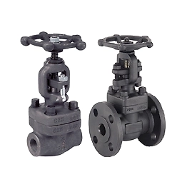 ASTM-A105 Forged Steel Gate Valve A.S.A 800class15mm