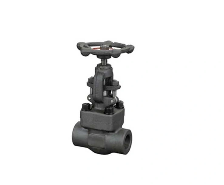 Hot Selling ASTM-A105 Forged Steel Gate Valve A.S.A 800class15mm Manufacturer in India-7