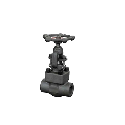 ASTM-A105 Forged Steel Gate Valve A.S.A 800class15mm-7