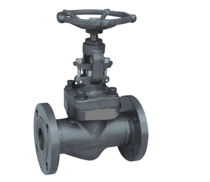 Hot Selling ASTM-A105 Forged Steel Gate Valve A.S.A 800class15mm Manufacturer in India-5