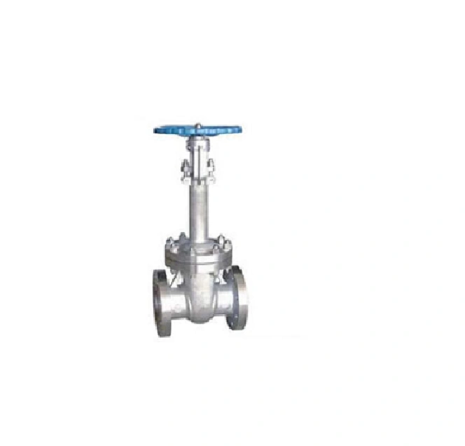 Hot Selling ASTM-A105 Forged Steel Gate Valve A.S.A 800class15mm Manufacturer in India-4