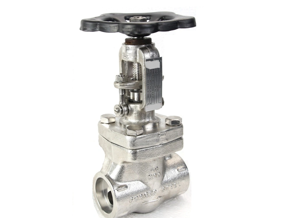 Hot Selling ASTM-A105 Forged Steel Gate Valve A.S.A 800class15mm Manufacturer in India-6