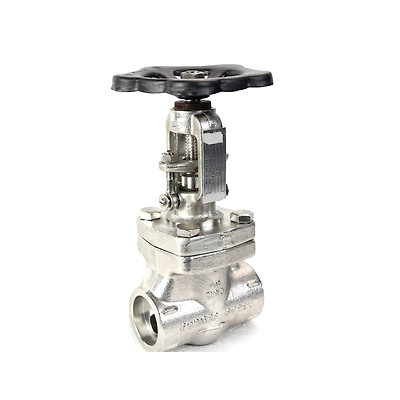 ASTM-A105 Forged Steel Gate Valve A.S.A 800class15mm-6