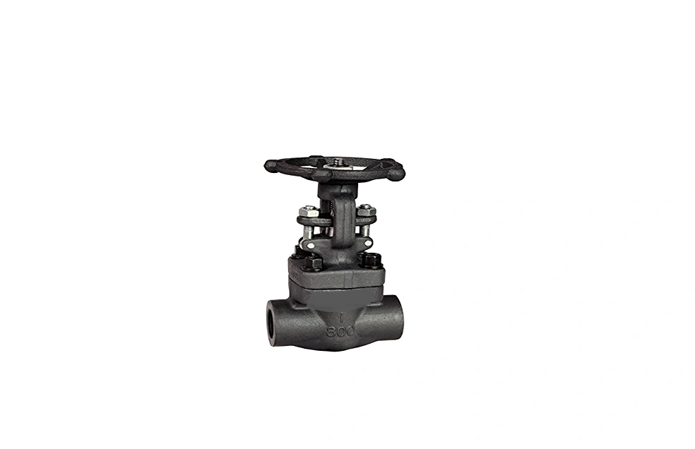 Hot Selling ASTM-A105 Forged Steel Gate Valve A.S.A 800class15mm Manufacturer in India-8