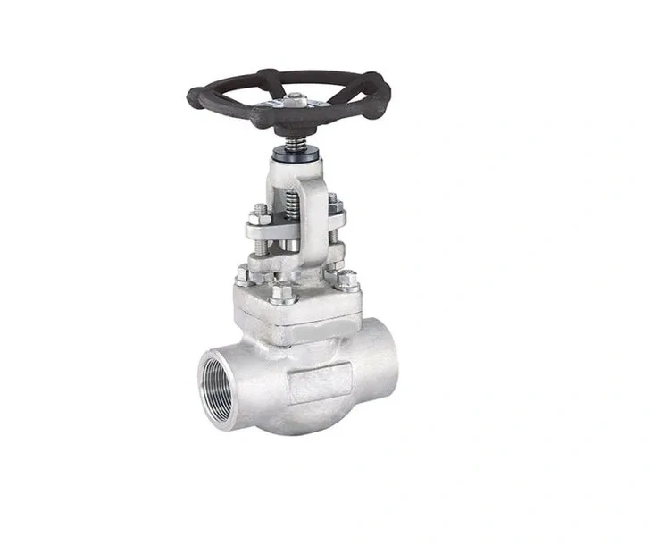 Wholesale Best Price ASTM-A105 Forged Steel Globe Valve A.S.A 800class 15mm For petrochemical industry-7