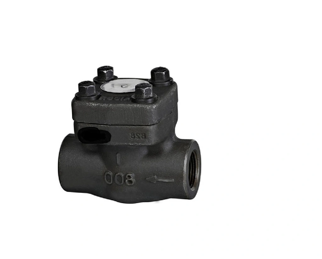 Wholesale Factory Supply ASTM-A 105 Forged Steel Check Valve A.S.A 800class 15mm For All Purpose Industries usage-5