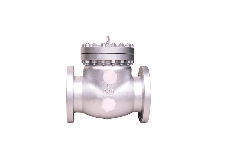 Wholesale Factory Supply ASTM-A 105 Forged Steel Check Valve A.S.A 800class 15mm For All Purpose Industries usage-3