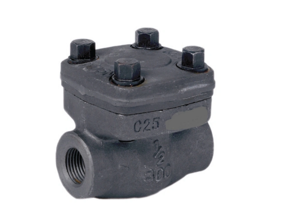 Wholesale Factory Supply ASTM-A 105 Forged Steel Check Valve A.S.A 800class 15mm For All Purpose Industries usage-7