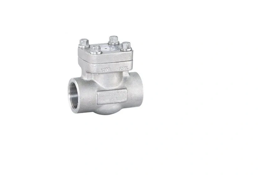 Wholesale Factory Supply ASTM-A 105 Forged Steel Check Valve A.S.A 800class 15mm For All Purpose Industries usage-8