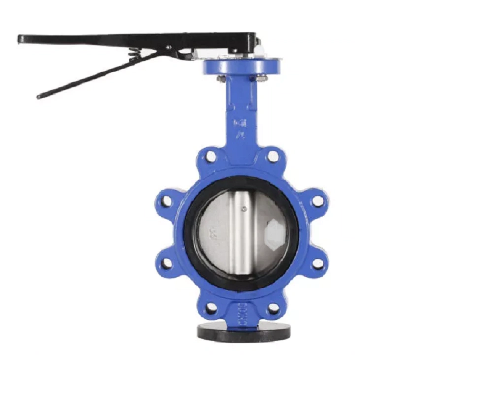 High Quality Cast Iron Buttery Valve EPDM Molding Wafer Type (PN10) 15 mm Manufacturer in India-4