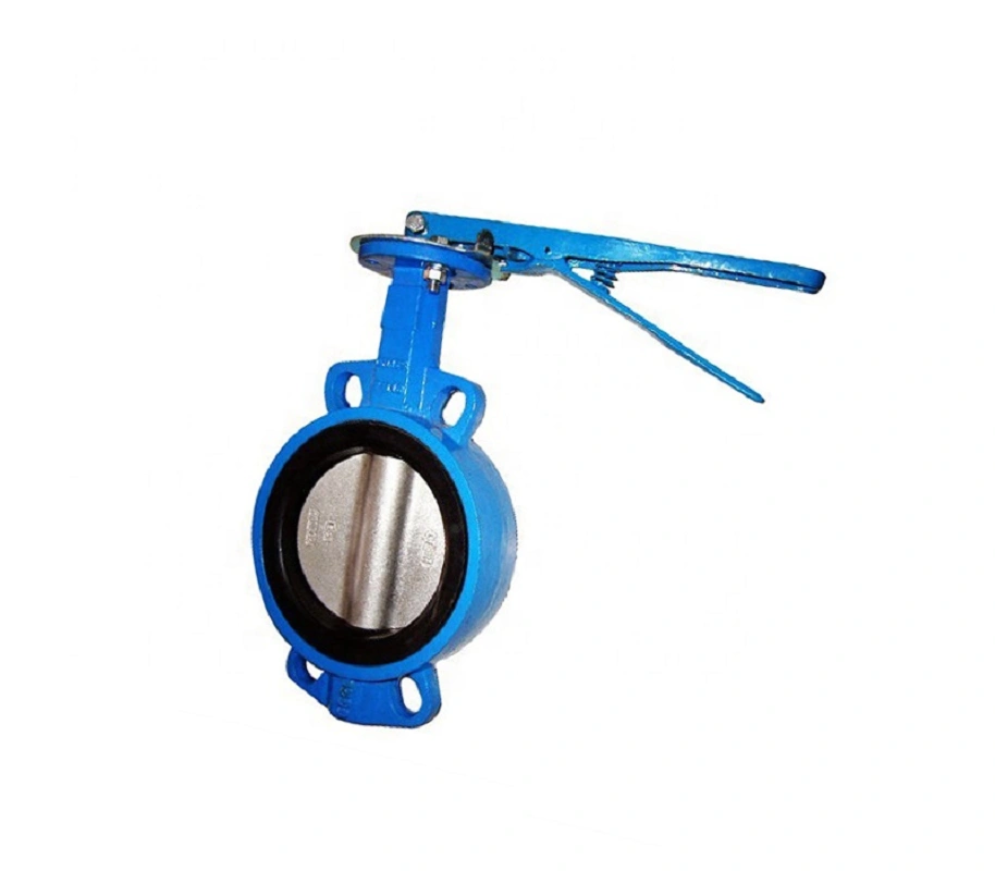 High Quality Cast Iron Buttery Valve EPDM Molding Wafer Type (PN10) 15 mm Manufacturer in India-7