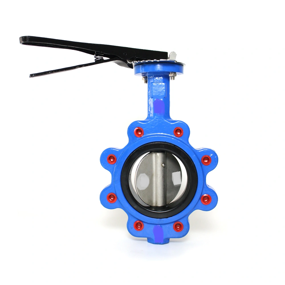 High Performing  Cast Iron Lug Type Butterfly Valve 40mm Manufacturer For tight shut off and flow control-3