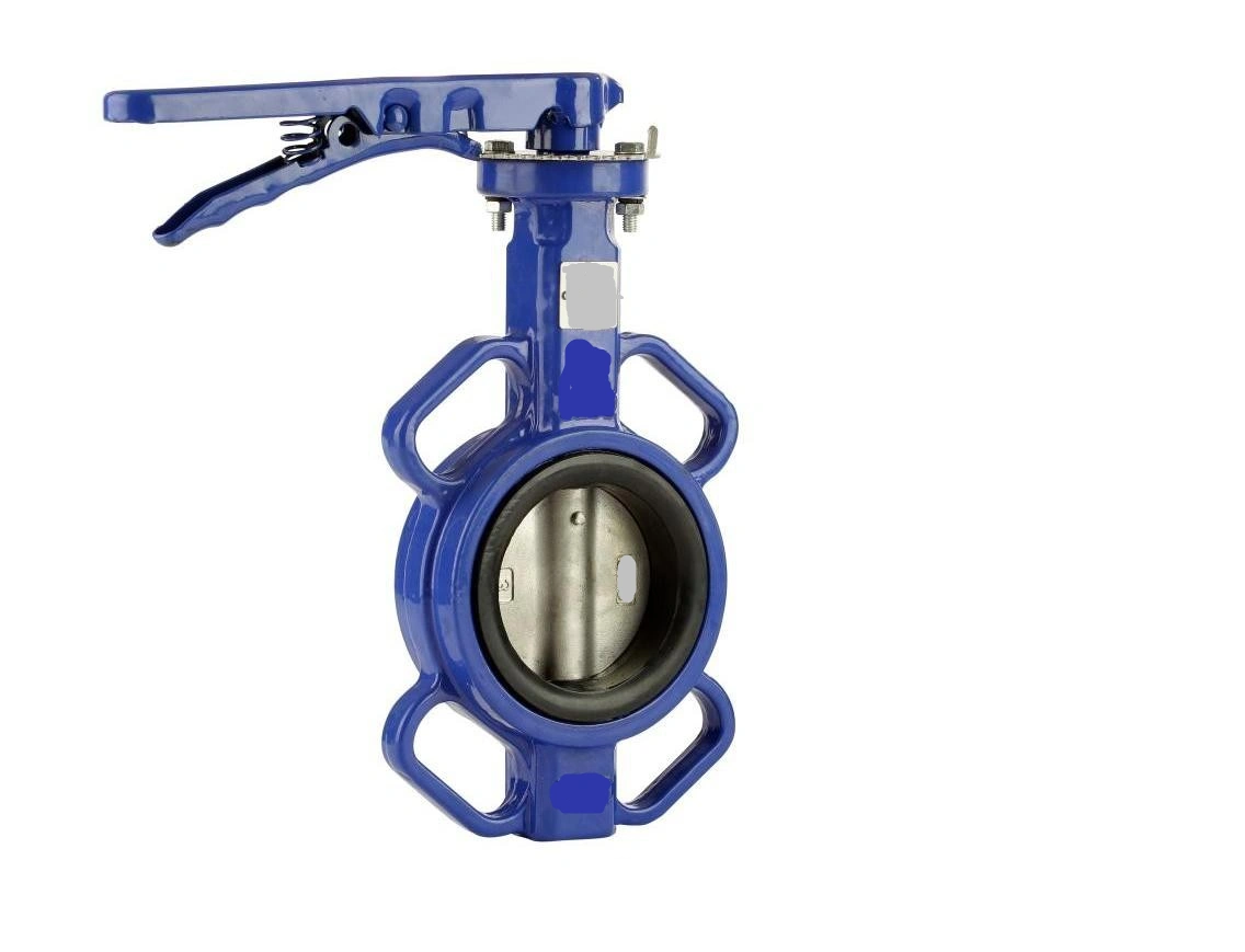 High Performing  Cast Iron Lug Type Butterfly Valve 40mm Manufacturer For tight shut off and flow control-4