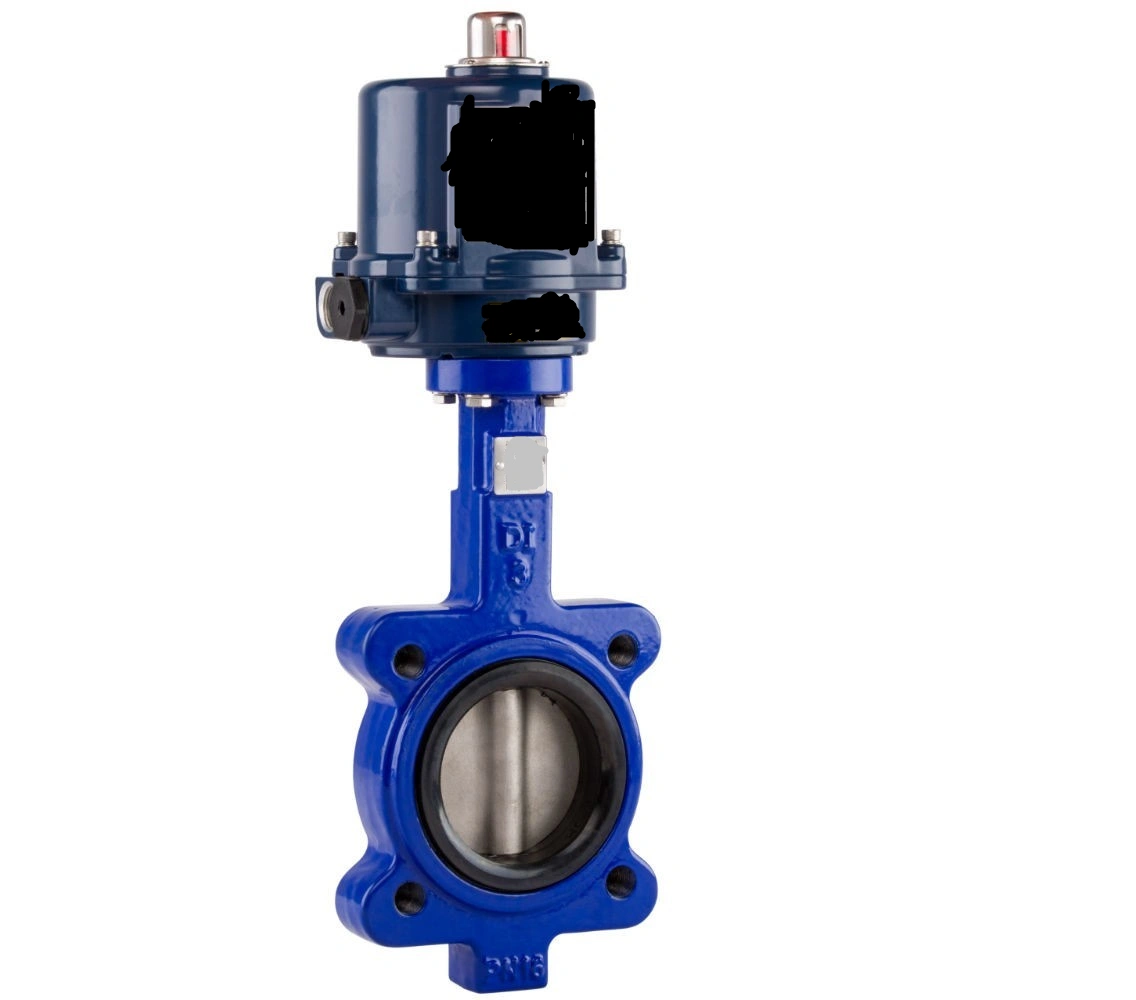 High Performing  Cast Iron Lug Type Butterfly Valve 40mm Manufacturer For tight shut off and flow control-5