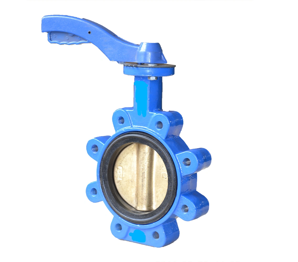 High Performing  Cast Iron Lug Type Butterfly Valve 40mm Manufacturer For tight shut off and flow control-8