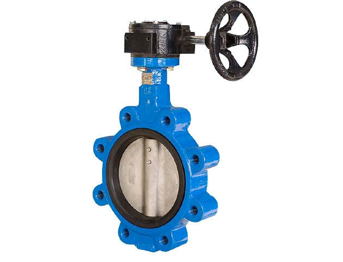 High Performing  Cast Iron Lug Type Butterfly Valve 40mm Manufacturer For tight shut off and flow control-6