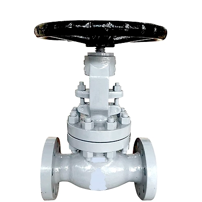 A.S.A 150class 300mm Cast Steel Globe Valve Flanged End-6