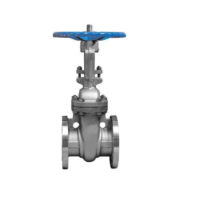 Most Popular Lowest Price Cast Steel Gate Valve Flanged End ASA 150class 25mm Manufacturer in India-4