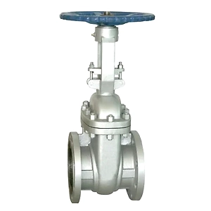 Cast Iron Gate Valve Flanged End ASA 150class 25mm